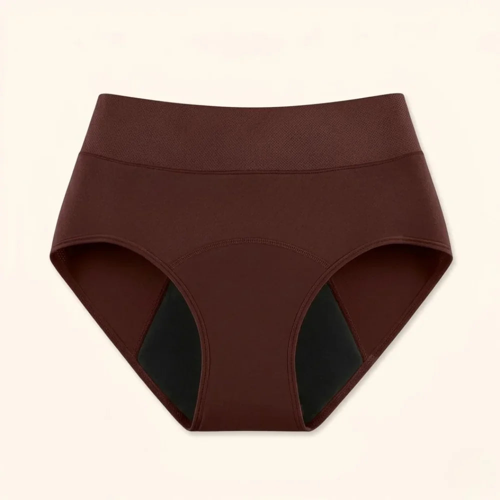 💥 2026 Limited 49% ️OFF 💦 DRYORA™ Leak-Proof Incontinence Underwear – Bladder Leak & Odor Protection